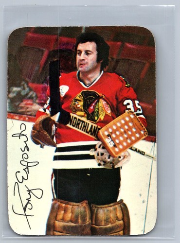 Tony Esposito #3 1976 Topps Glossy Inserts card