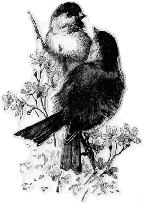 2 Love Birds on Flowers Words Clear Stamps for Card Making Scrapbooking Crafting