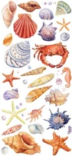 Violette Stickers Realistic Seashells Sea Life  Crafts Planner Supply Scrapbook