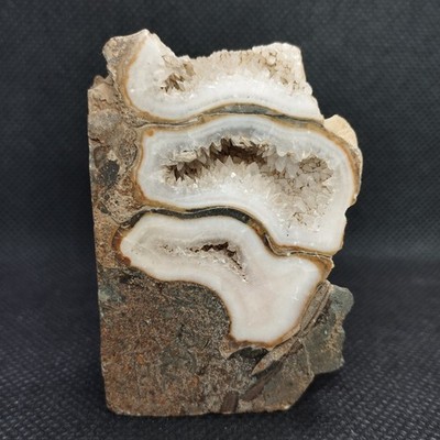 Polished Ammonite Fossil - Quartz Crystal Chambers - Stuture Lines