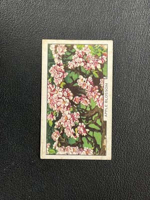 1938 Gallaher Garden Flowers #5 Apple Blossom