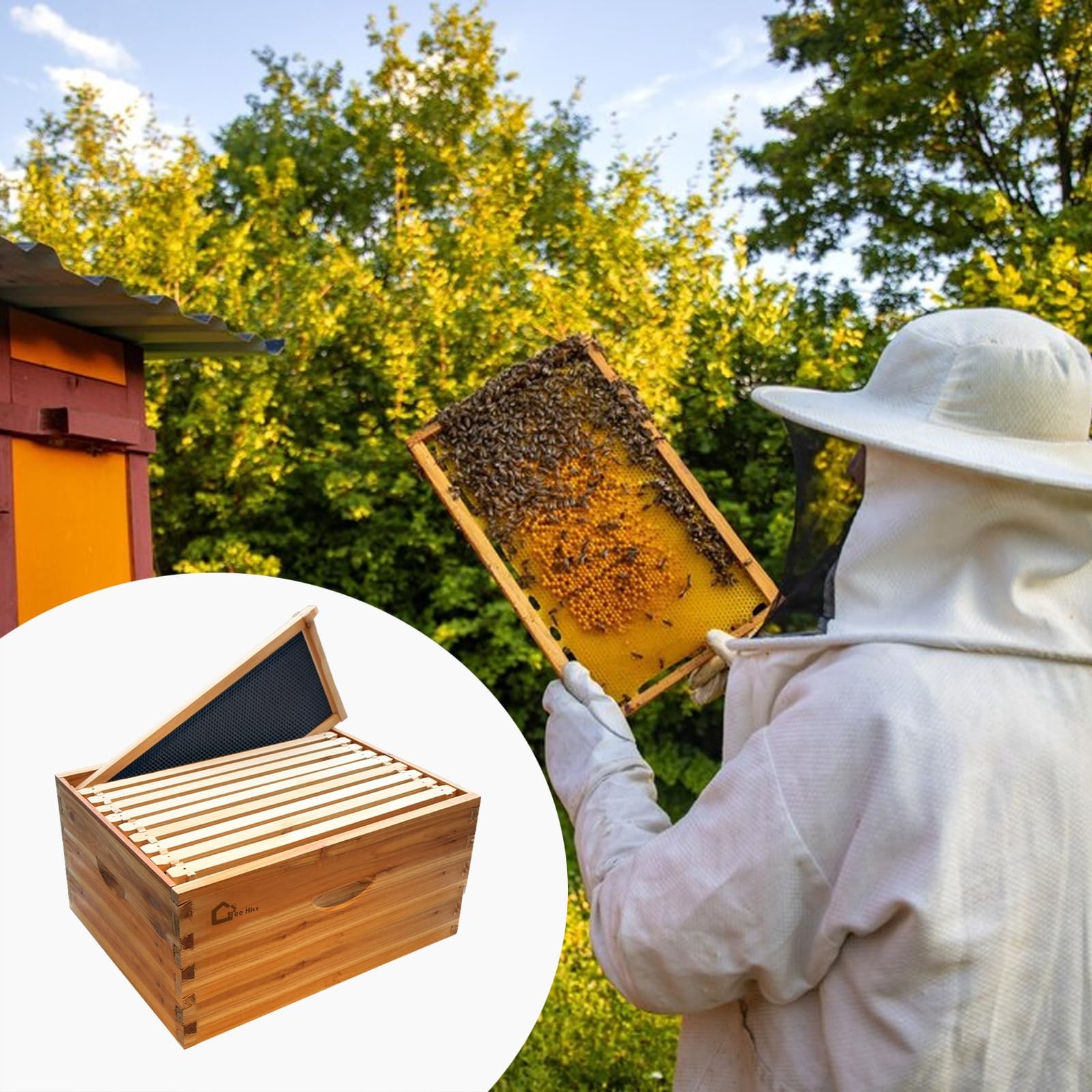 10-Frame Medium Super Bee Box Wax Coated Bee Hives Beehives Frame Wax Foundation