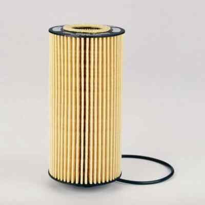 Casite CF558 Engine Oil Filter (P550528)