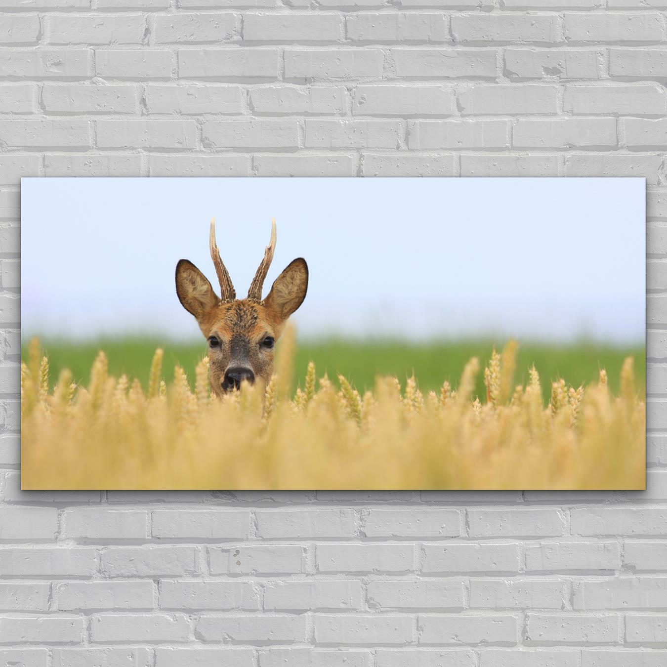 Glasbilder Wandbild Deko Bilder Foto-Bild 140x70 Junger Hirsch im Feld
