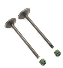VALVE SET INTAKE/EXHAUST + SEALS SUZUKI LT185 84-87, GN125 81-97, GS125-91-97