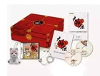 Nintendo DS Okami Den limited edition nintendo Small sun Manten treasure chest