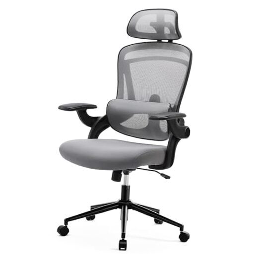 Ergonomic Office Chair, High Back Desk Chair with Adjustable Lumbar Grey-image