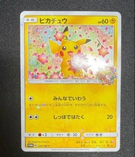 Pikachu [Pokemon Center 20th Anniversary Campaign] #224/SM-P
