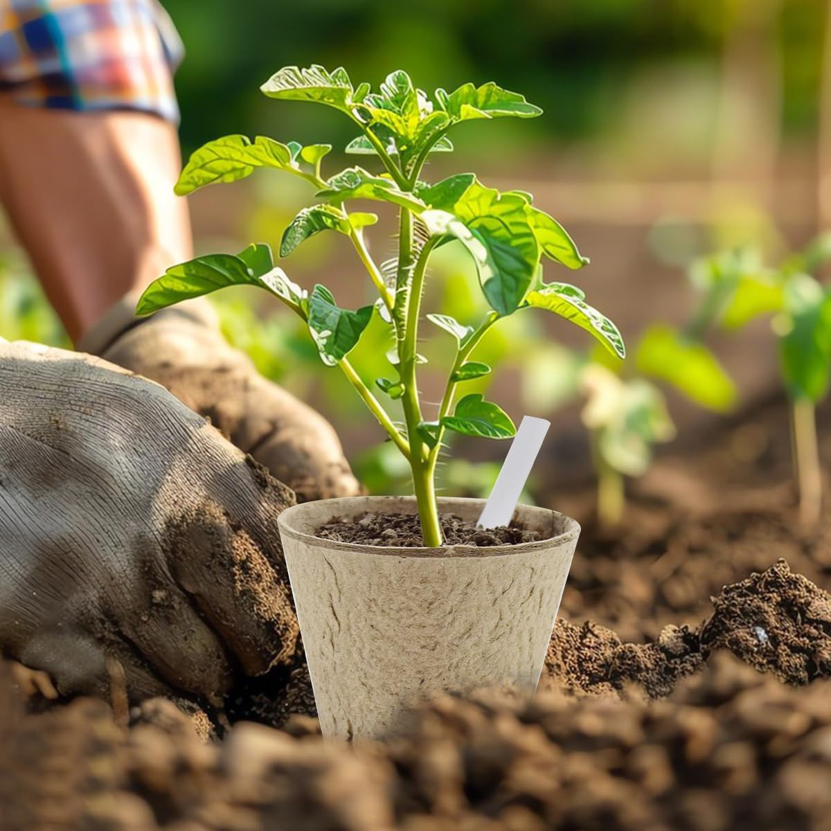 50 Pack 3.15Inch Seedling Peat Pots,Biodegradable Seed Starters with Drainage