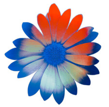 Blue Daisy Sticker Decal