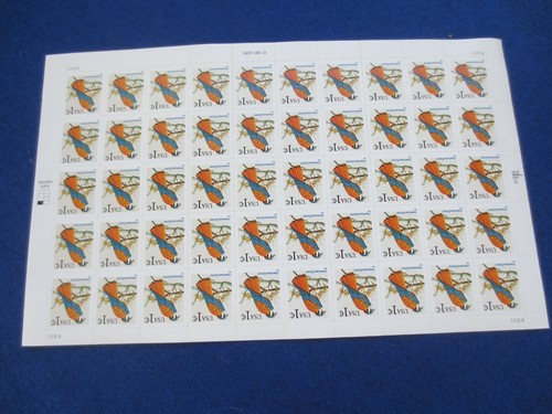 DOC Scott 3031 American Kestrel 1¢ 1999 Pannello da 50 B2222 MNH  - Foto 1 di 5