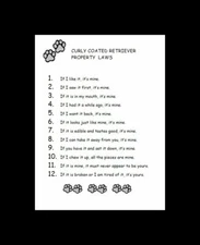 Curly Coated Retriever - CUSTOM MATTED - Dog Art Print - P/L