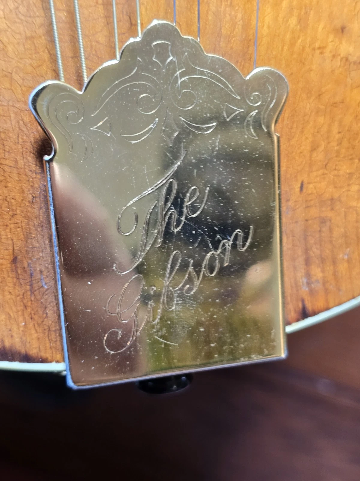 Picture 6 of 21