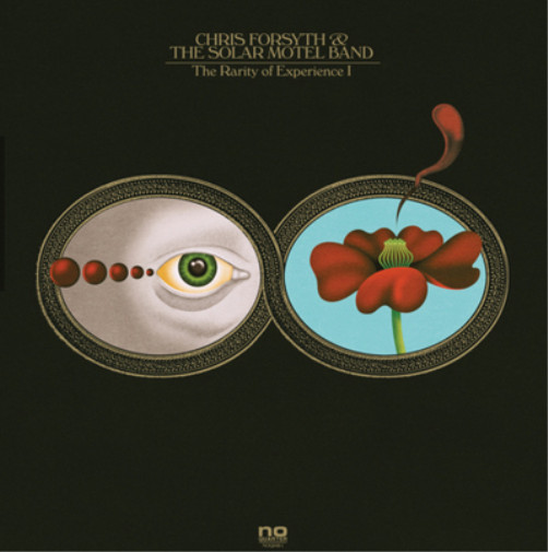 Крис Форсайт и The Solar Mo The Rarity of Experience Pts (винил) (ИМПОРТ из Великобритании)