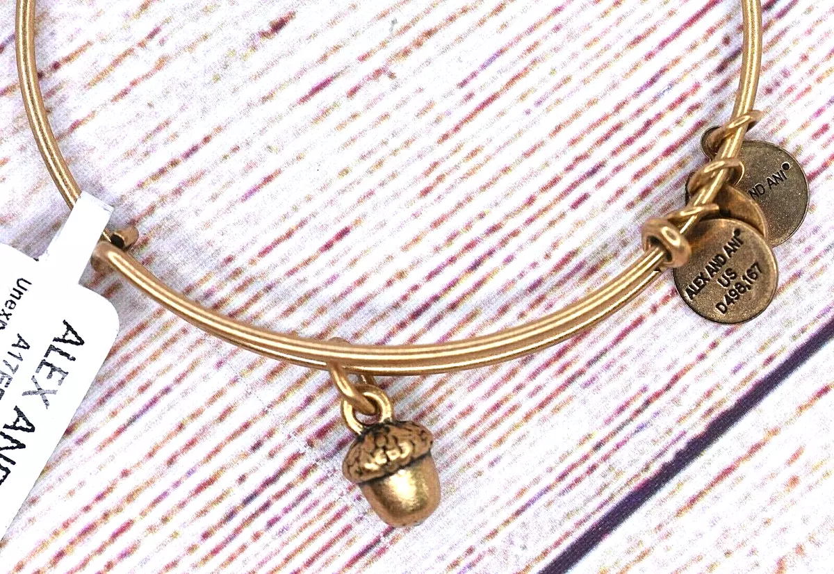 Acorn alex and ani bracelet sale
