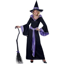 Adult Glamour Witch Costume - Distinctive Hooded Dress Accessories Included