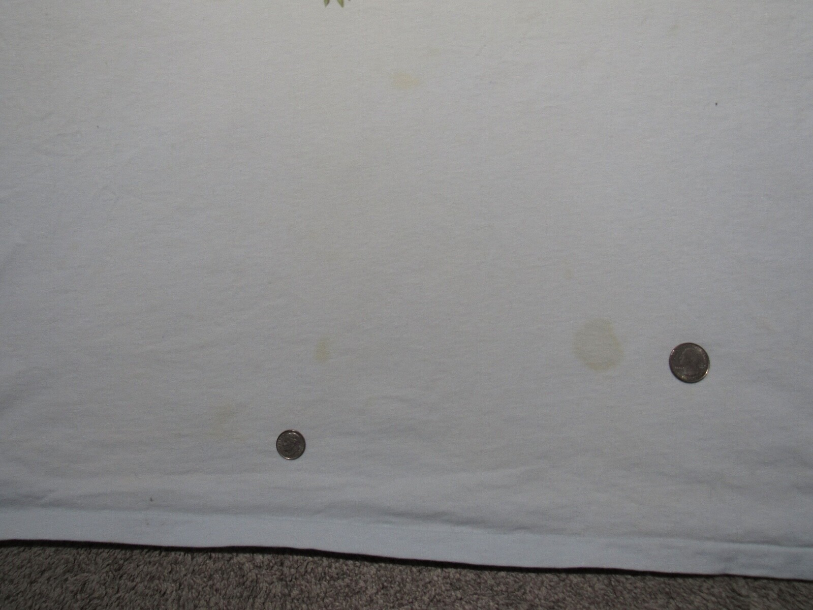 Picture 10 of 11