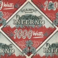 Quantic - 1000 Watts - Cd - F659Z