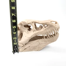 3D Printed T-Rex Skull Realistic Replica Dinosaur Fossil Home Office Decor 6"