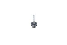BOSCH Glühlampe, Hauptscheinwerfer Xenon HID WS 1 987 302 904