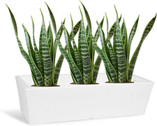 Vaso Moderno Basso Fioriera Rettangolare Mod DECO Cassetta Balcone E Giardino Cm