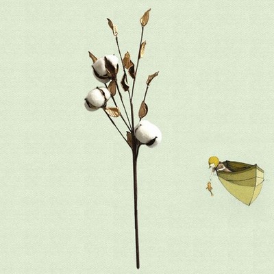  45cm getrocknete Baumwolle Stengel 3 Baumwolle Boll Cotton Tree Branch