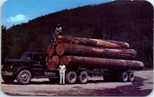 1960s Douglas Fir Logs Logging in Western Washington Postcard