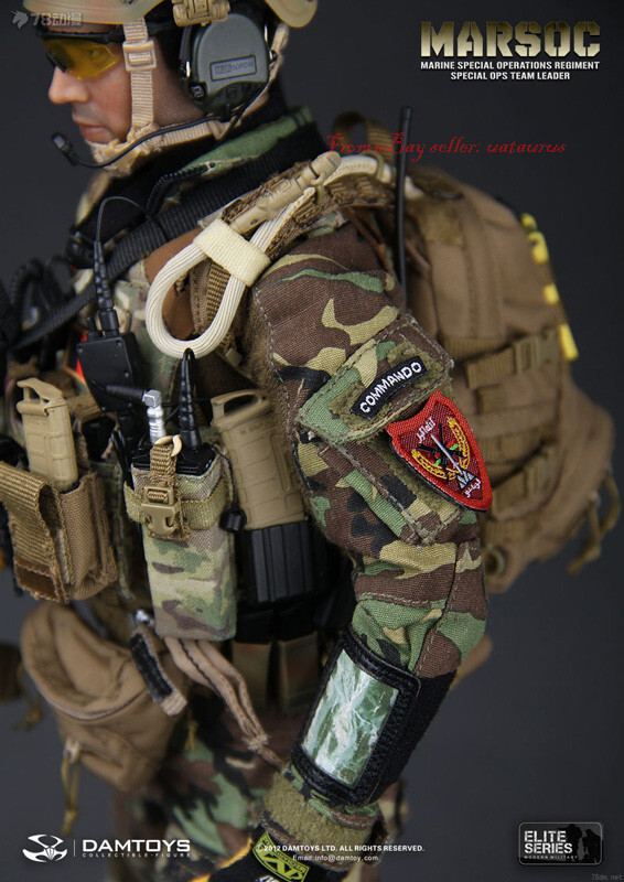 Perfect Damtoys 78006 1/6 Marsco Marine Special Operations