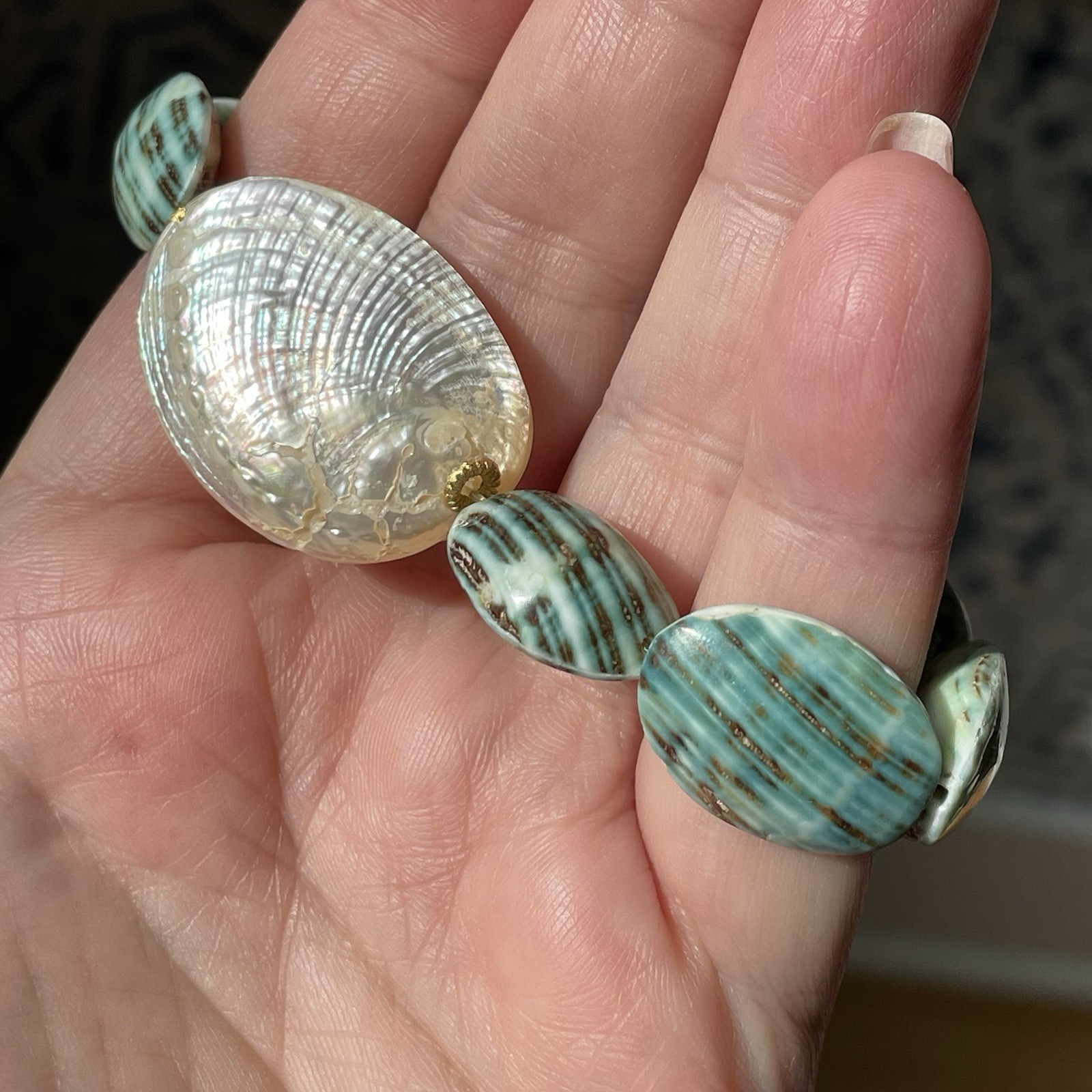 Turbo shell & silver abalone (?) shell stretch br… - image 9