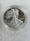 2007 WALKING LIBERTY AMERICAN EAGLE .999 FINE SILVER DOLLAR PROOF 1oz. $1 USA