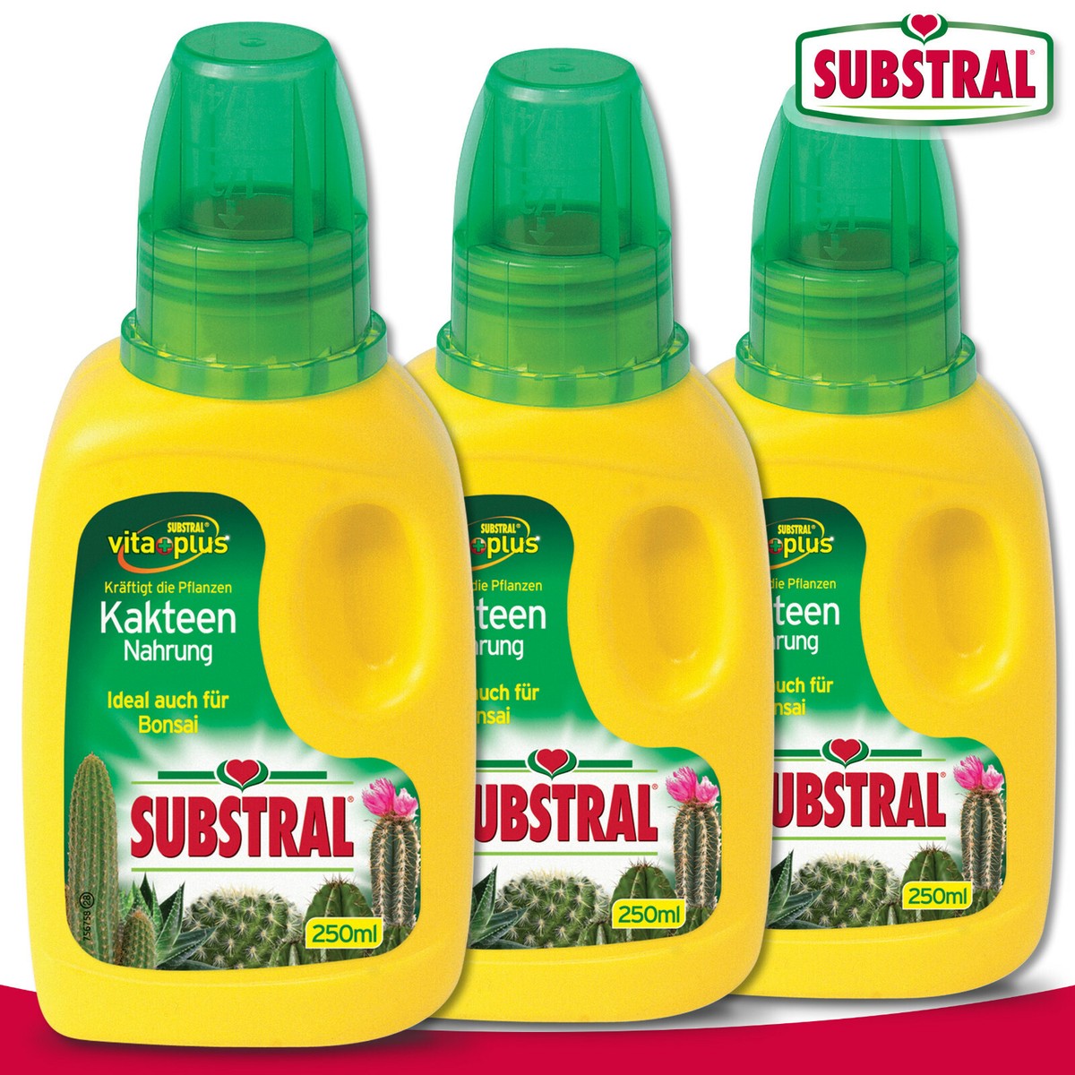 Substral 3 x 250 ml Kakteen-Nahrung | eBay