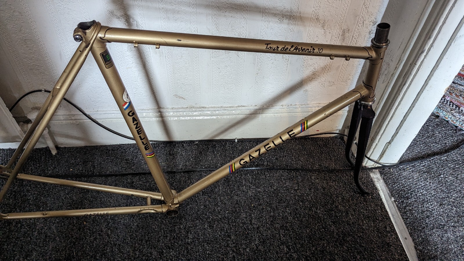 Gazelle 531 vintage Bicycle Frame eBay