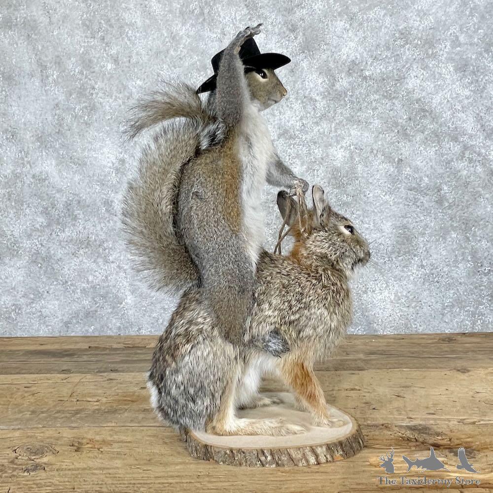 squrrel $_12.JPG?set_id=880000500F