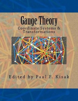 Paul F Kisak Gauge Theory (Taschenbuch)