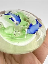 Art Glass Paperweight Round Flat Dolphin Fish Aquarium Sea Life Scene 3" Flaws