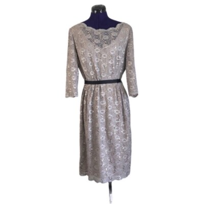 Alex Evenings Women Silver Gray Sparkle Lace Long Sleeve Dress Size 16 | eBay Alex Evenings Women Silver Gray Sparkle Lace Long Sleeve Dress Size 16 | eBay