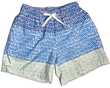 Prep 70 Chubbies The Ocean Trifectas 5.5" Inseam Beach Summer Swim Trunks Sz S