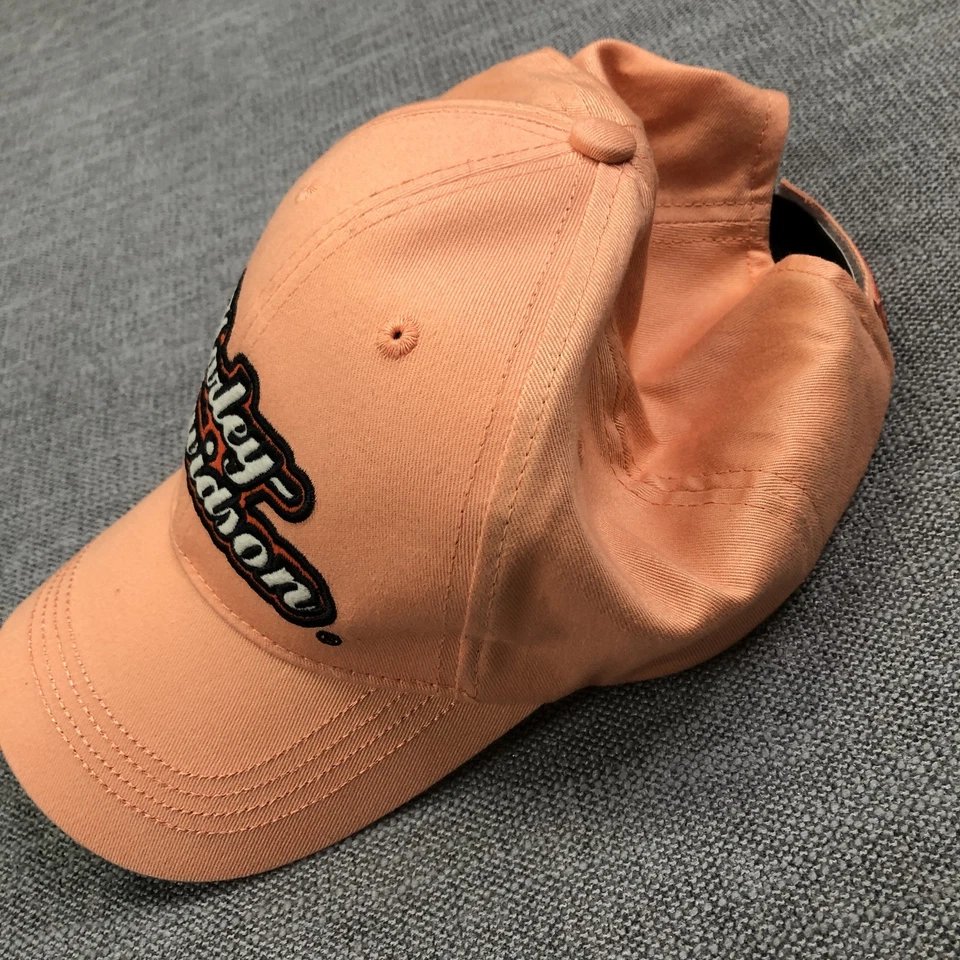 Harley-Davidson Sombrero Gorra Correa Trasera Parche Bordado Motocicleta Hombre Motociclista Foto 3 de 4