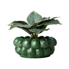 Wide Green Plant Pot, Chunky Round Shallow Planter Dish Houseplant Bubble Pot