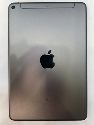 iPad mini 5 - 64GB - Gray - Unlocked Pre-Owned Good Condition