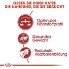Bild 2 von 8