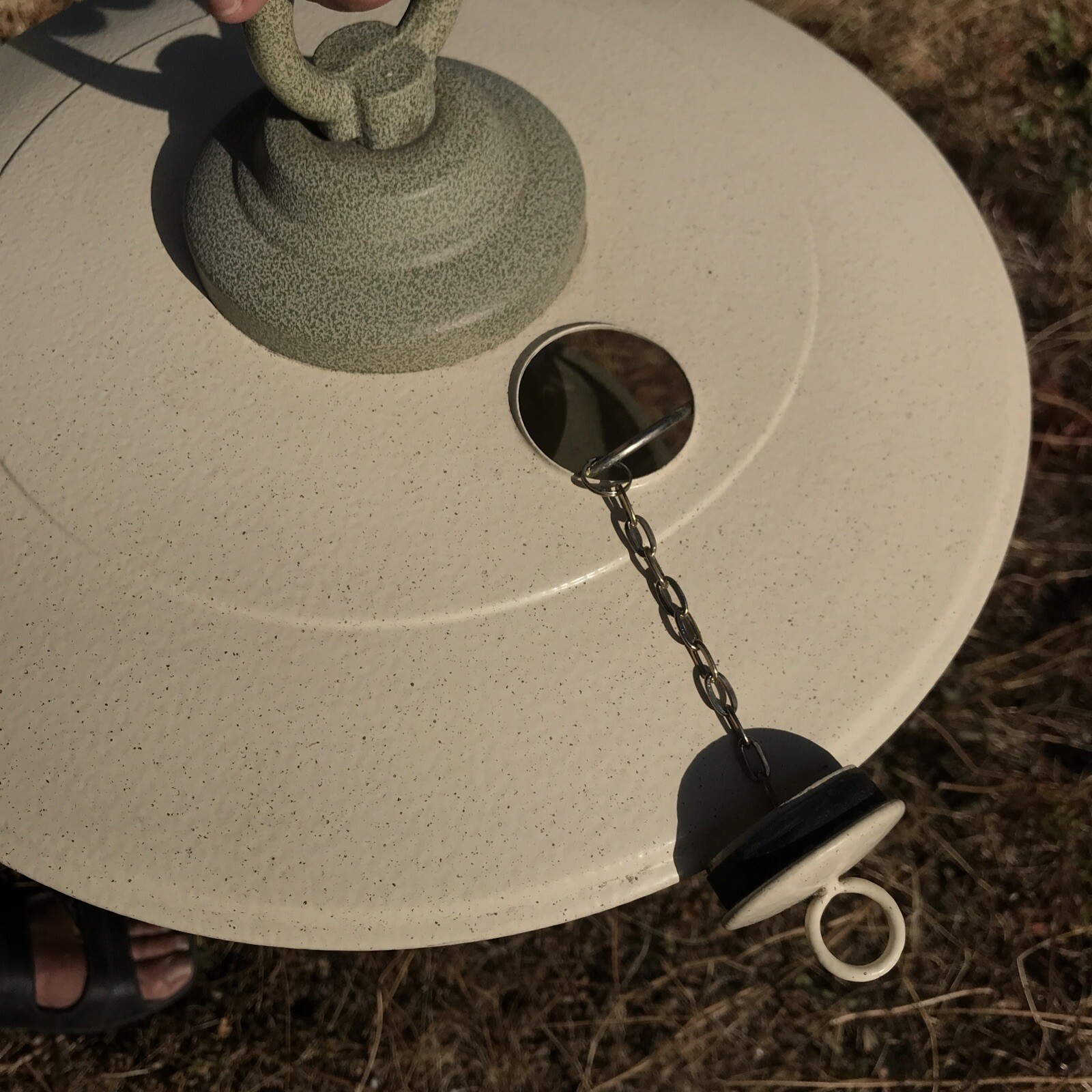 National Geographic Beautiful Tom Torrens Bird Feeder, Rare Collectible