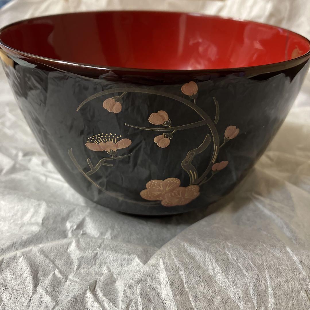 Japan Echizen Lacquerware Couple Bowls Traditional Japanese Dinnerware Set