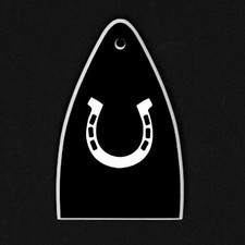 GUITAR TRUSS ROD COVER - Engraved Etch - Fit Paul Reed Smith PRS USA - HORSESHOE