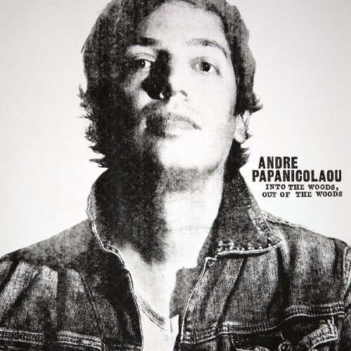 AndrePapanicolaou Into the Woods Out of the Woods (Vinyl LP)