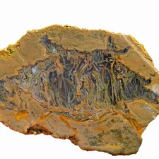 Priday Moss Bed Egg Rough Chunk Lapidary Stone Cut Face