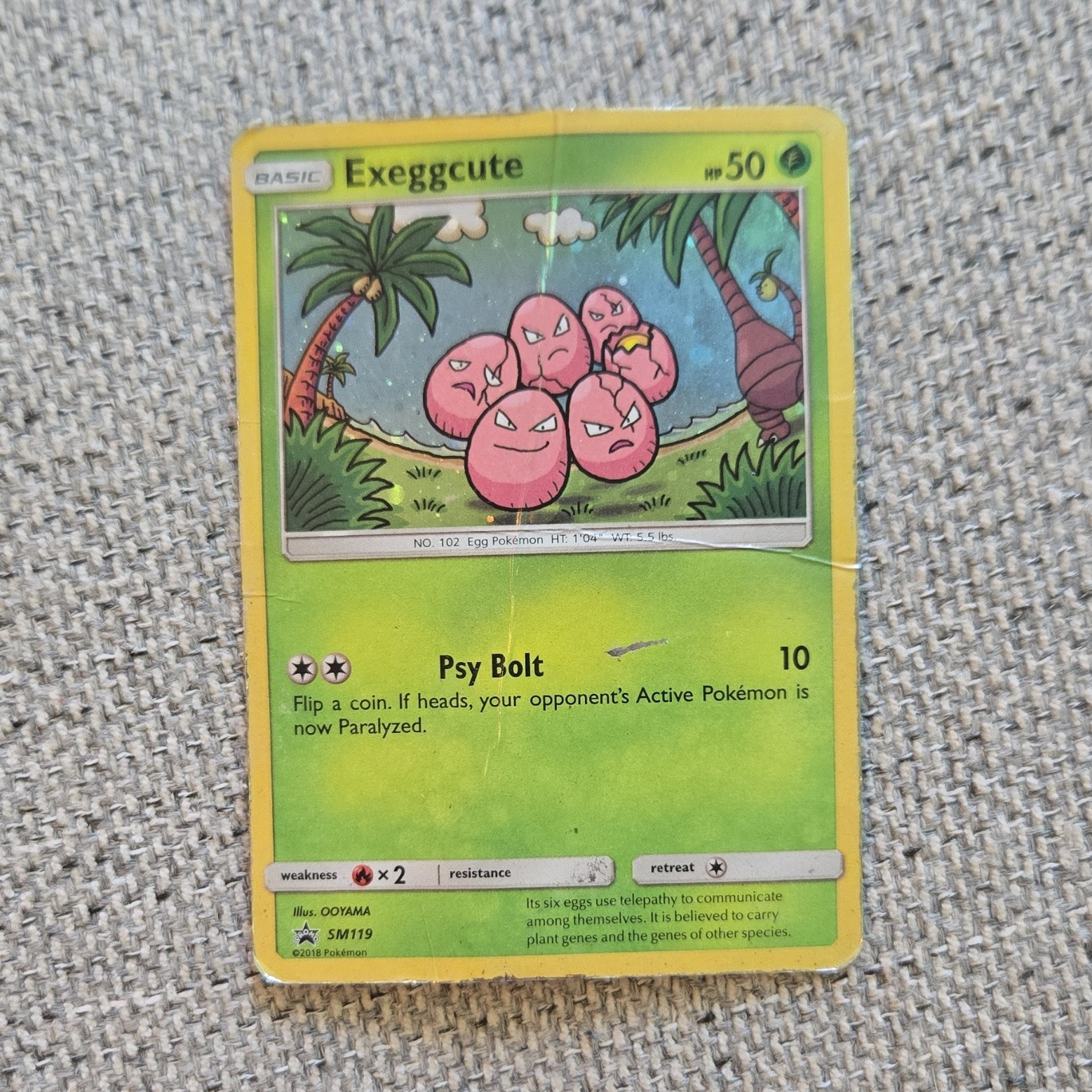 Pokemon TCG Exeggcute SM119 Sun & Moon Promo Holo English 50 HP 2018