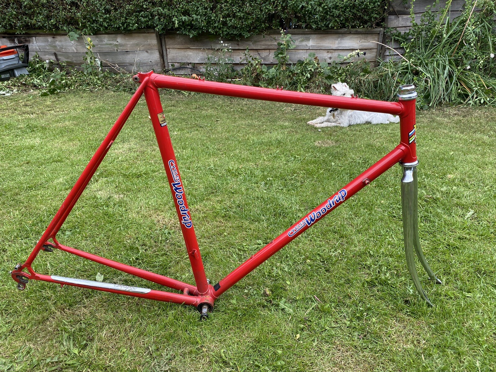 59 cm bike frame