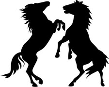 Aufkleber Pferd Pferdeaufkleber Pferdehänger Aufkleber steigende Pferde #35 