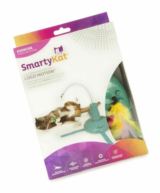 smartykat loco motion